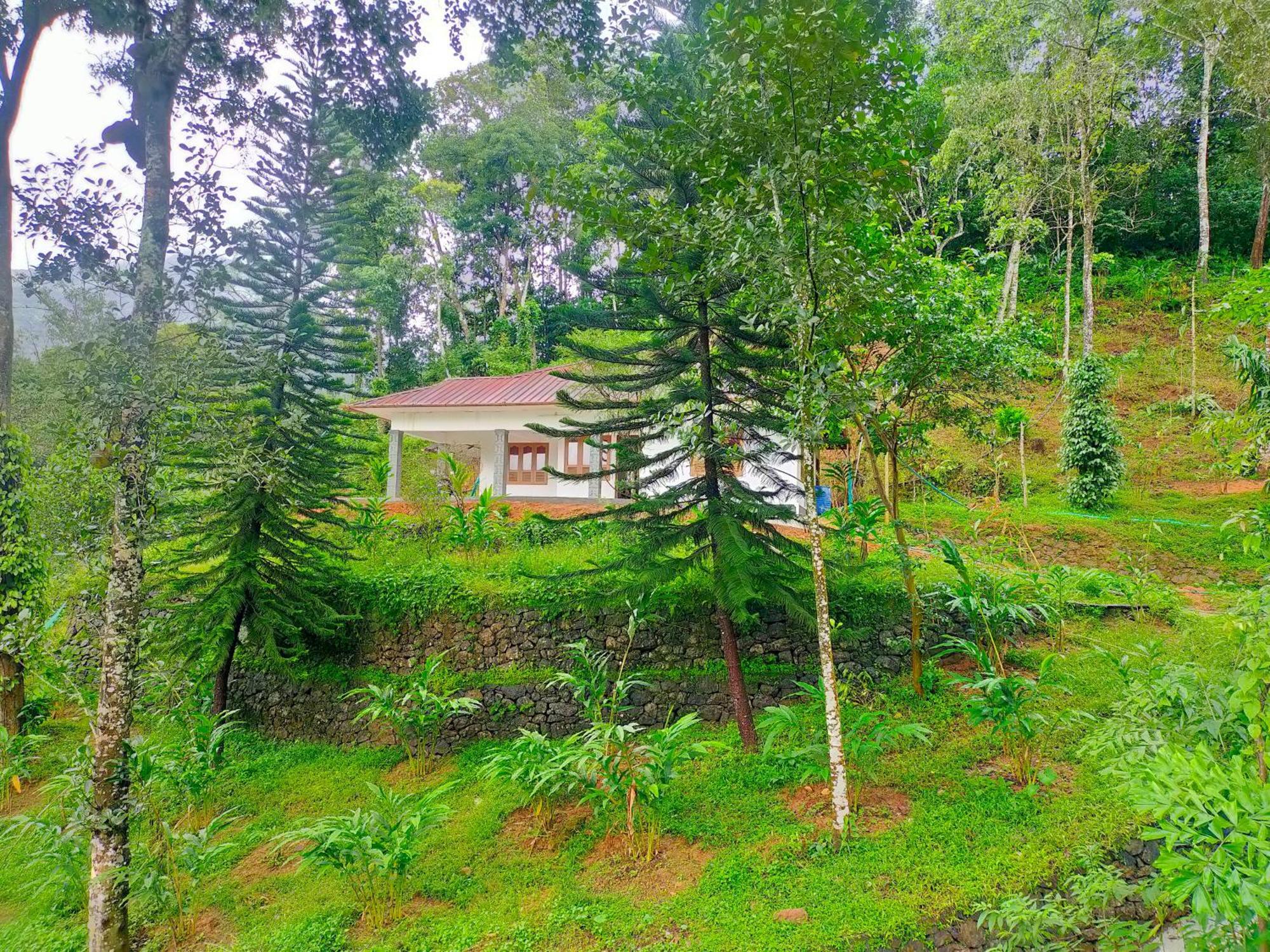 Anachal Anivilla Holiday Home Kunjithanny מראה חיצוני תמונה