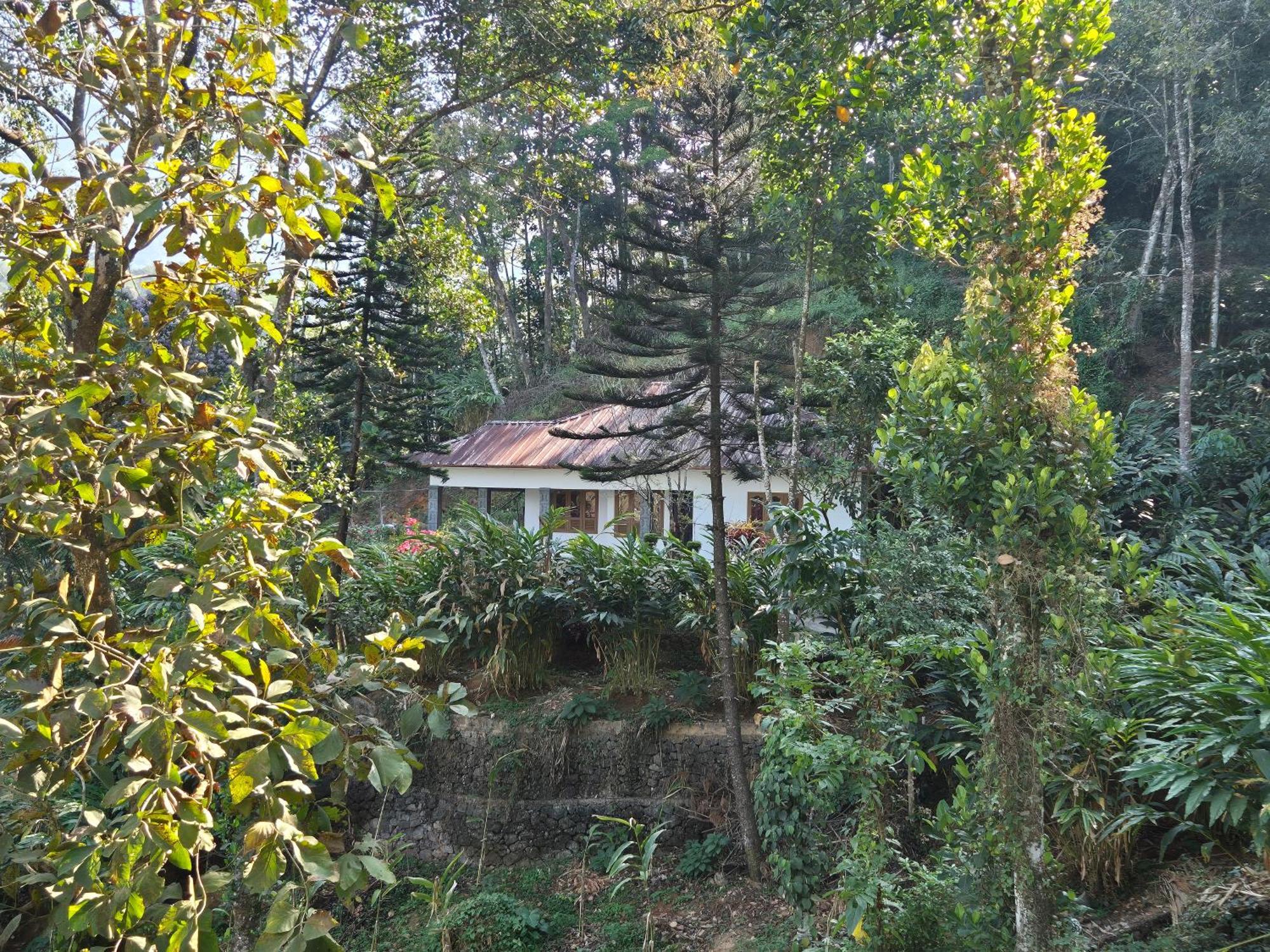 Anachal Anivilla Holiday Home Kunjithanny מראה חיצוני תמונה