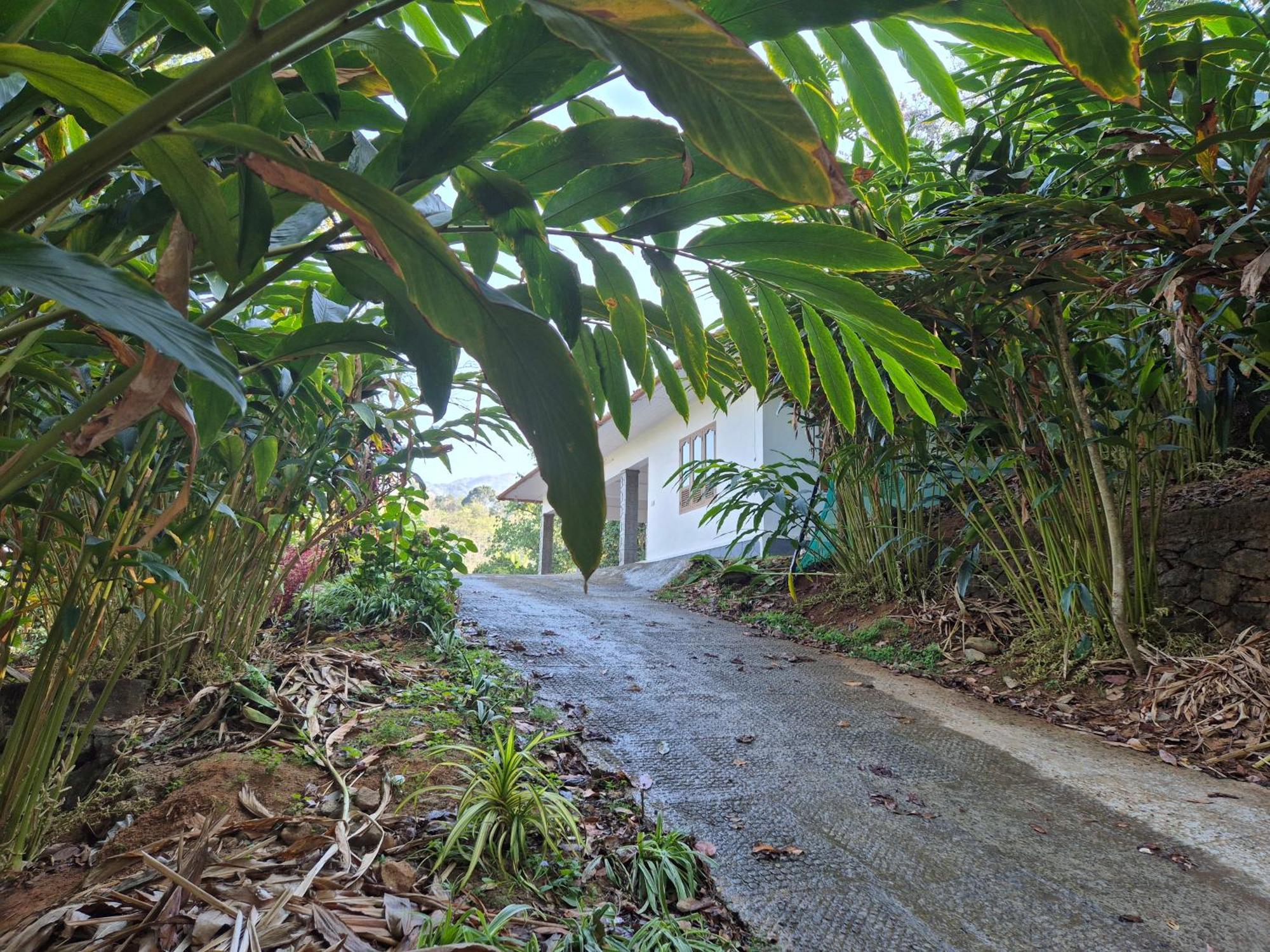 Anachal Anivilla Holiday Home Kunjithanny מראה חיצוני תמונה